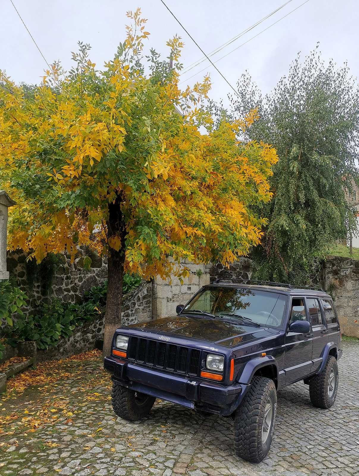 Jeep Cherokee xj tdi