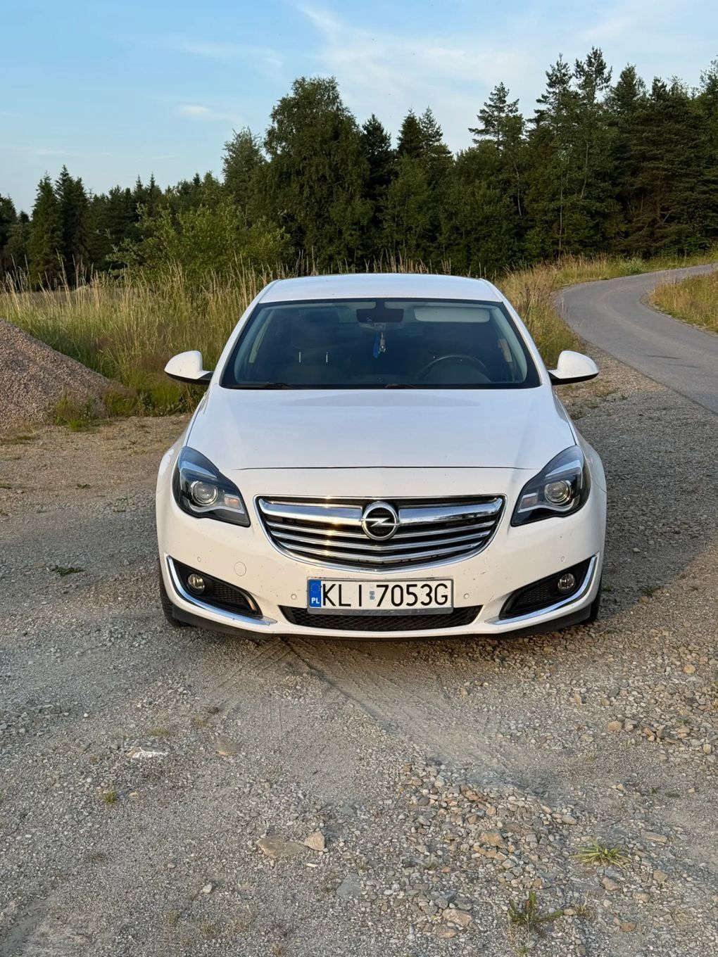 Opel Insignia Opel Insignia 2.0 CDTI ecoFLEX 140 KM • 2014 • Limuzyna (NB)