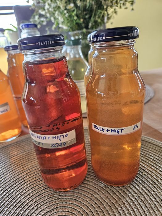 Ocet domowy Truskawkowy 300 ml