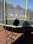 Sprzedam trampolinę
