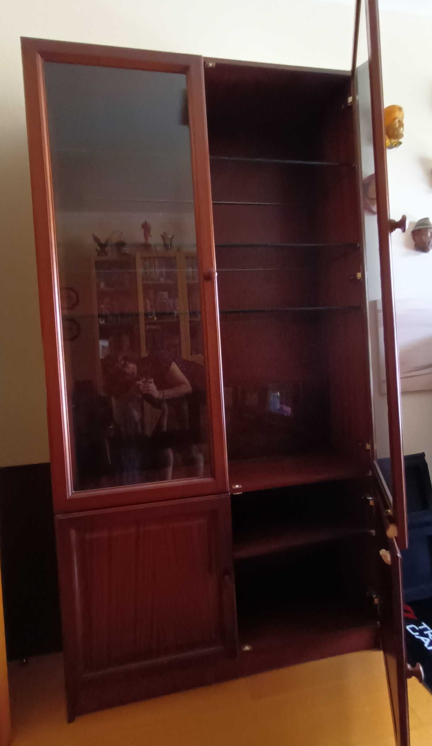 Estante com portas e prateleiras de vidro