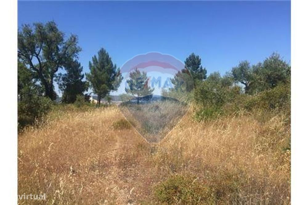 Terreno T0 para venda