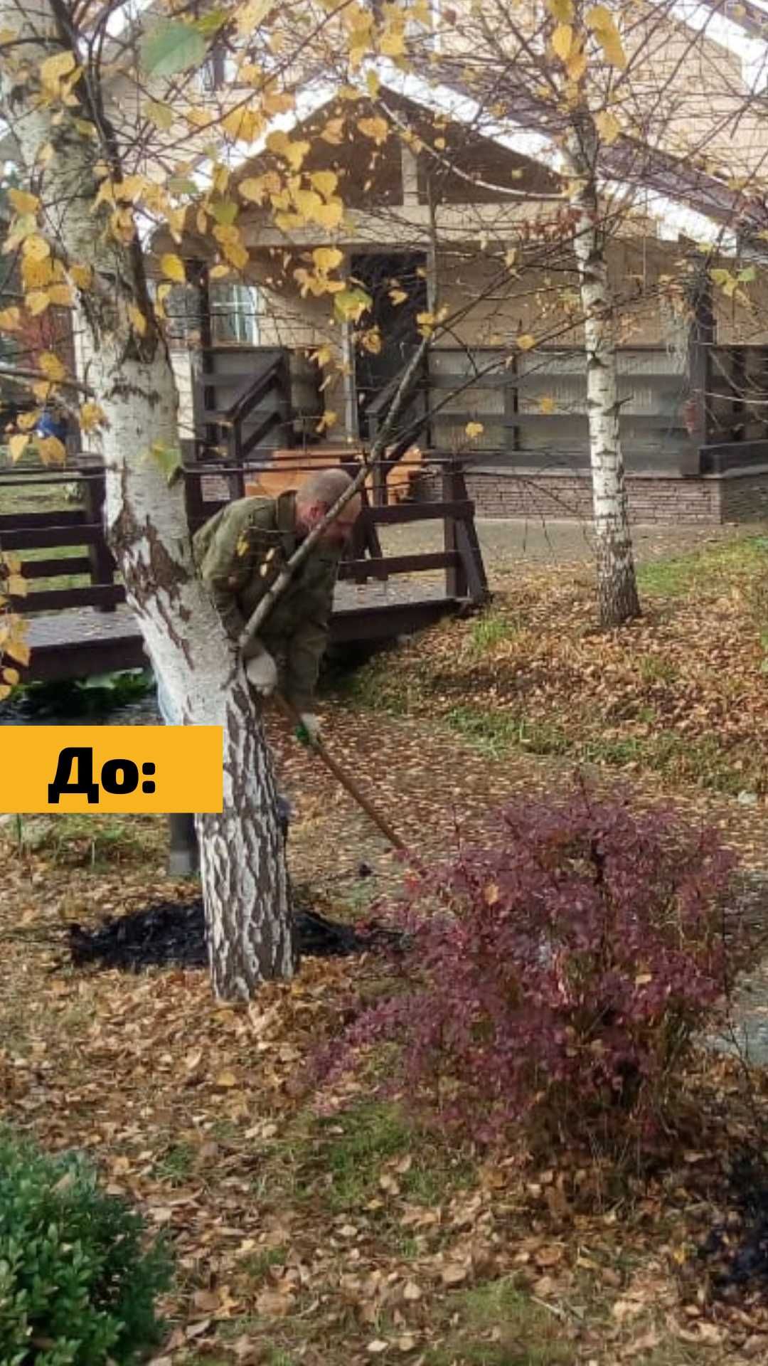 Уборка участка в комплексе. Удаление деревьев, пней. Покос газона