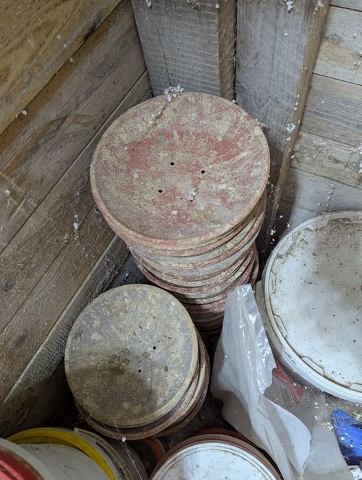 Miski lęgowe belgijskie dla gołebi