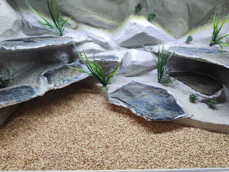 Terrarium pustynne nr668 120/60/60 dla agamy brodatej NA ZAMÓWIENIE