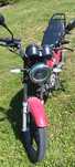 Motor Barto fighter 49cm