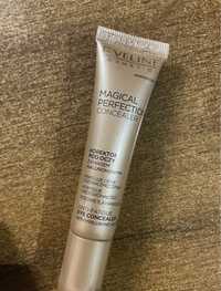 Консилер eveline cosmetics magical perfection concealer 01