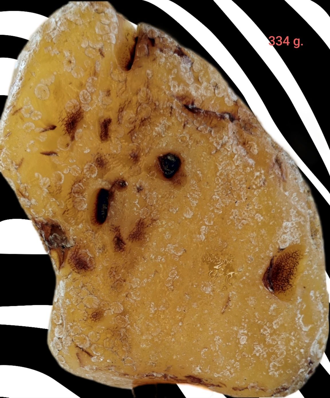Bursztyn 334 g. bałtycki , bryłka , okaz , kolekcja wiele gram .