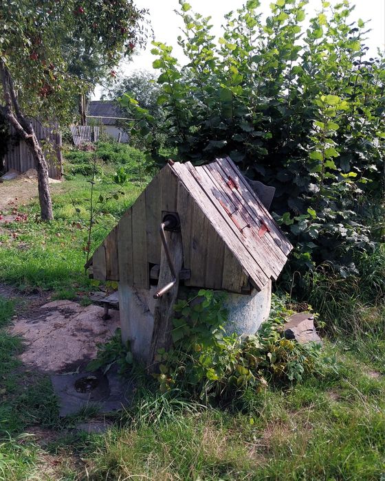 Будинок- земельна ділянка