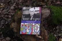 Салли Никольс Юнг и Таро