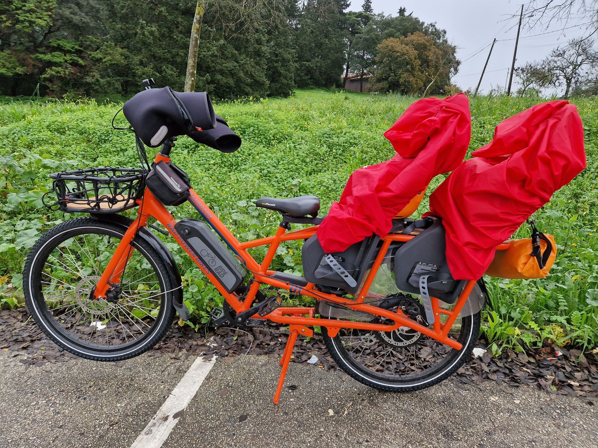 Radpowerbikes Radwagon 2019