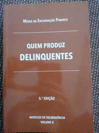 Quem produz delinquentes