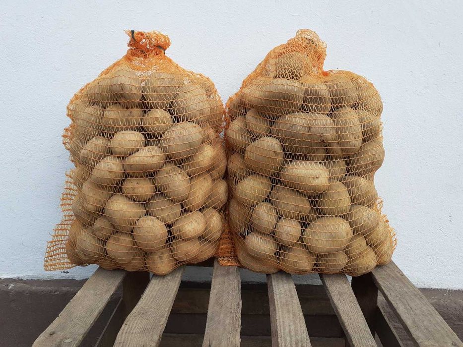 Ziemniaki jadalne lilly i lenka.