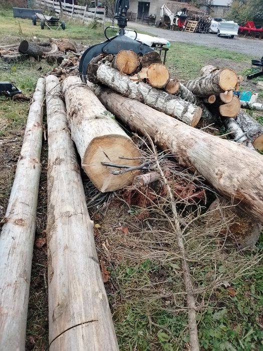 Drzewo opałowe rąbane. Sosna 200 zł m3