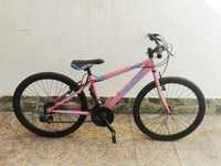 Bicicleta TEAM Rosa
