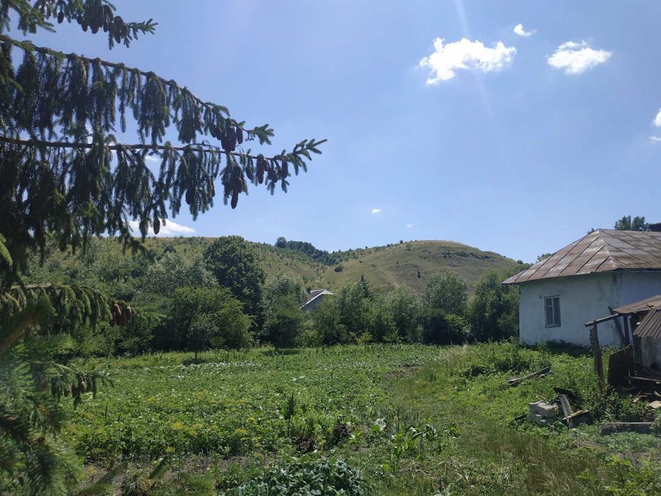 Ділянка з будинком