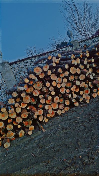 Sprzedam drewno opałowe