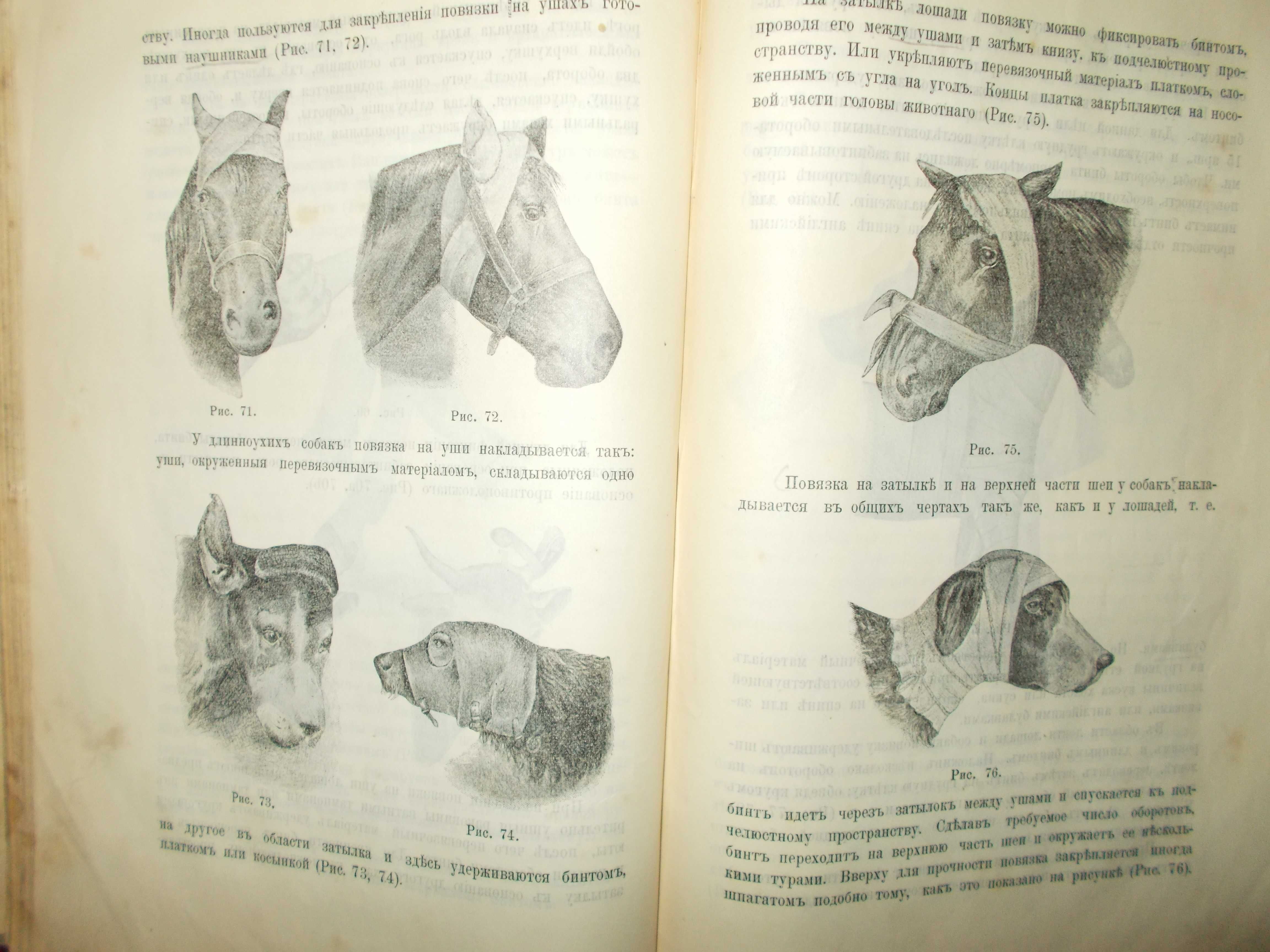 Книги по ветеринарии 1908- 1913г.