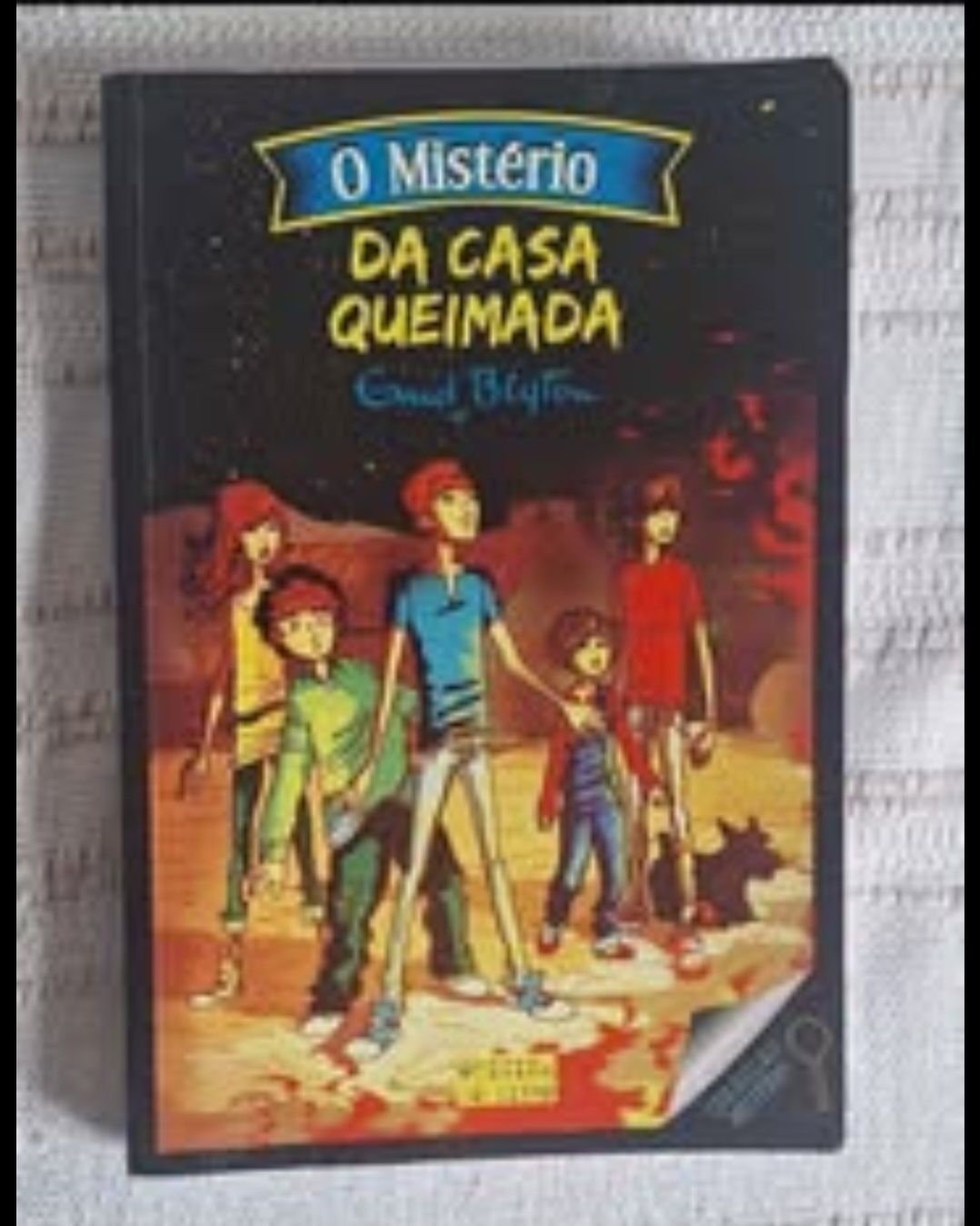 Livro O Mistério da Casa Queimada
