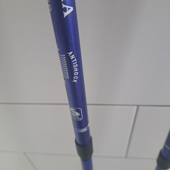 Палки скандинавська ходьба