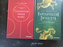 J.k Rowling Fantastyczne zwierzęta, Quiddich przez wieki