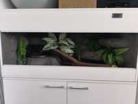 Terrarium 120x60x60