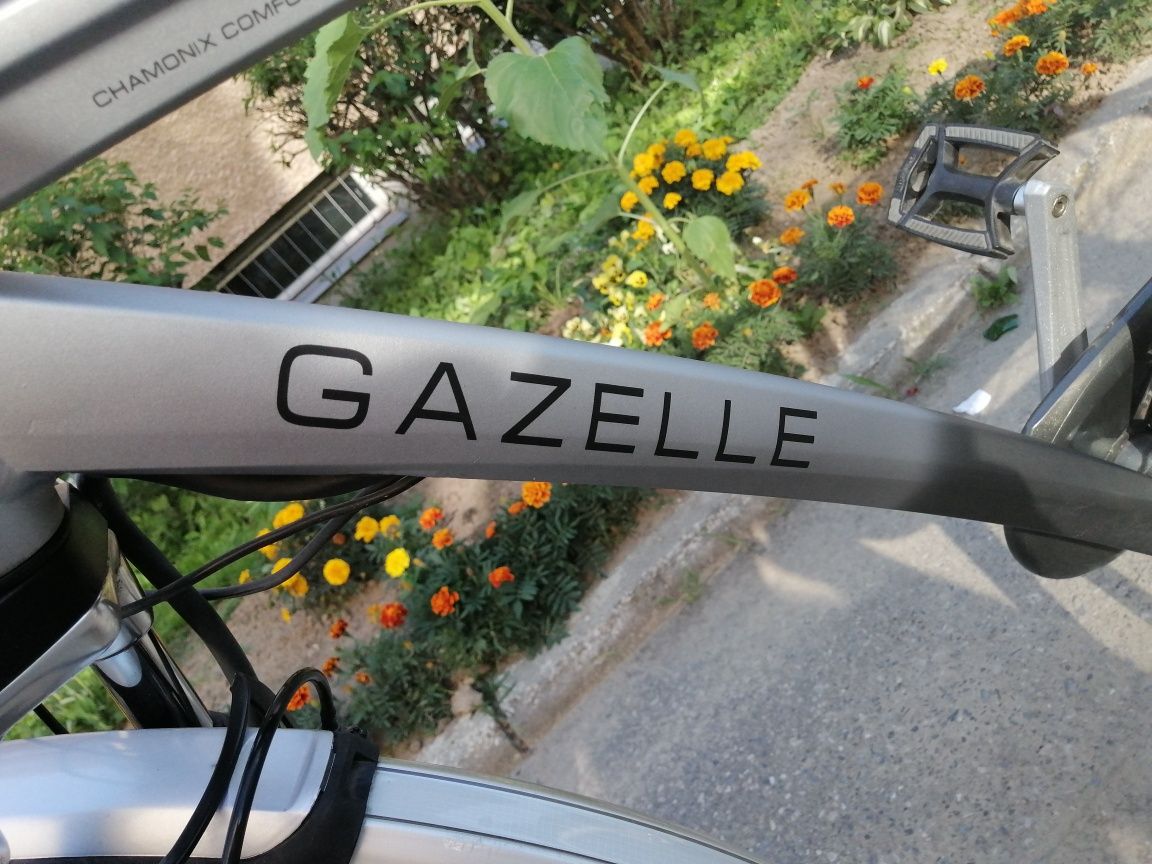 Gazella chamonix C7 elektryczny model 2019