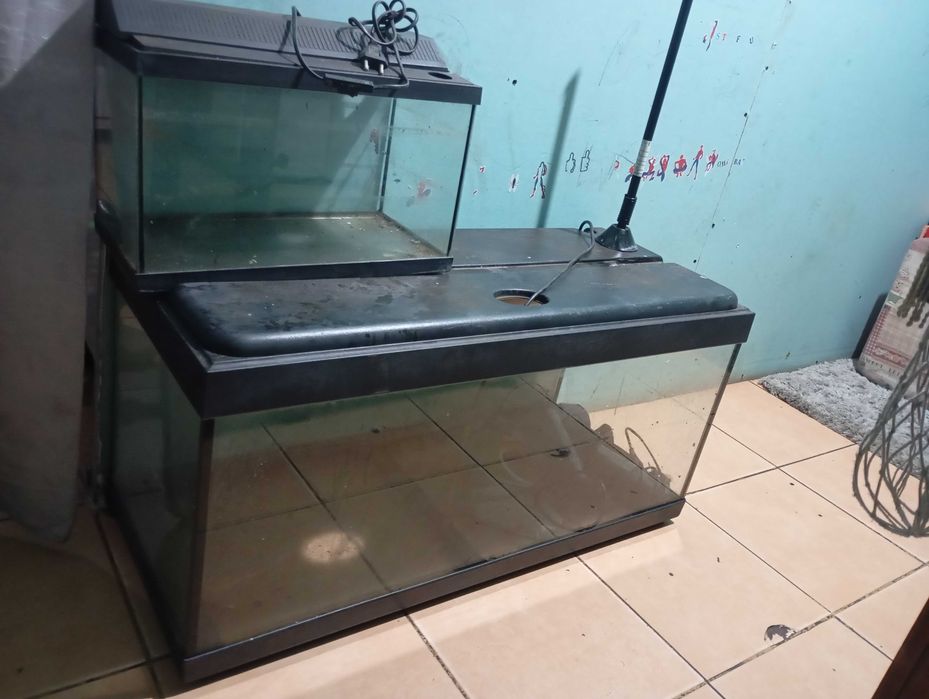 Vendo aquários com bombas