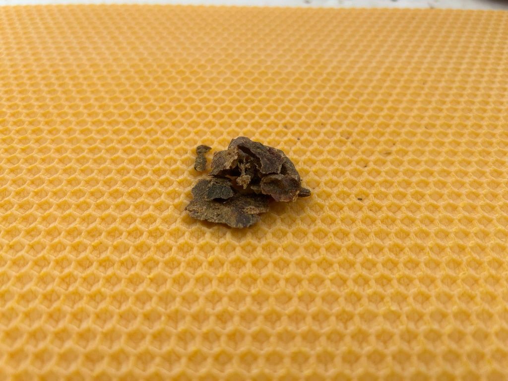 Kit pszczeli propolis