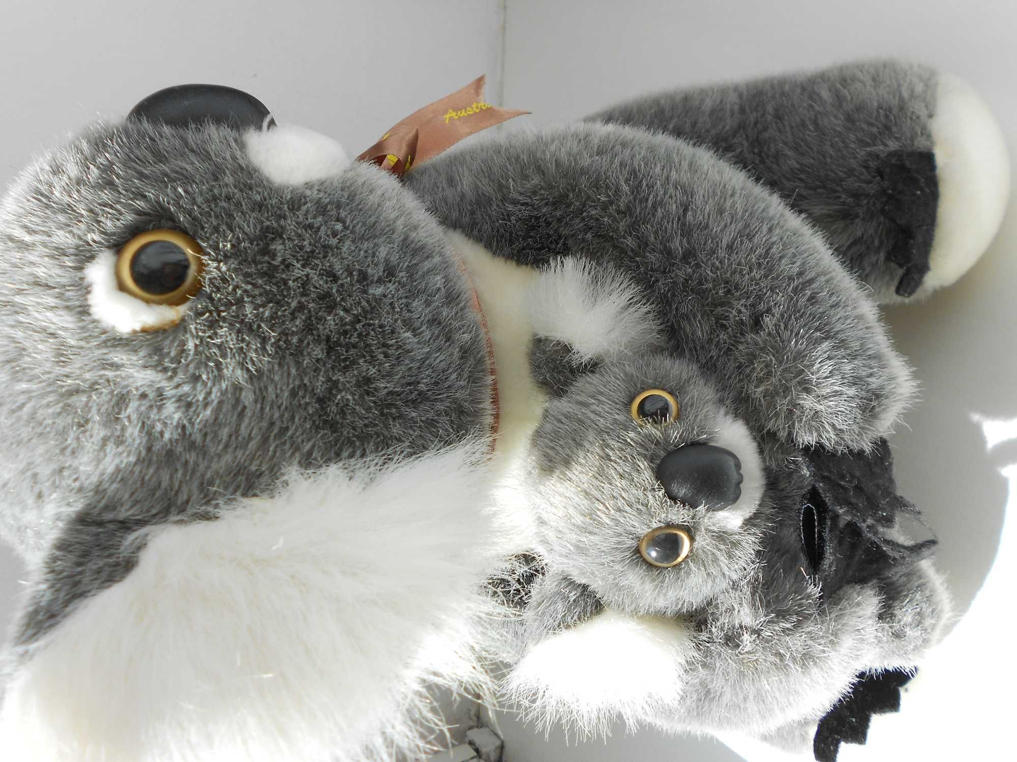 miś koala z 2 małymi z australii oryginał 3 szt maskotka duży