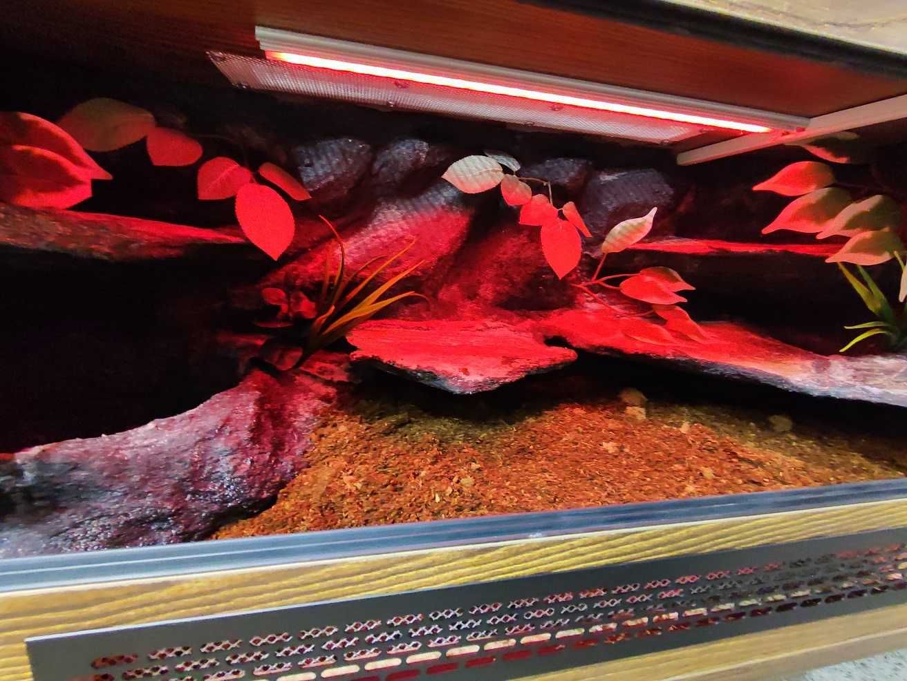 Terrarium tropikalne nr605 100/40/40 dla węża boa pyton NA ZAMÓWIENIE
