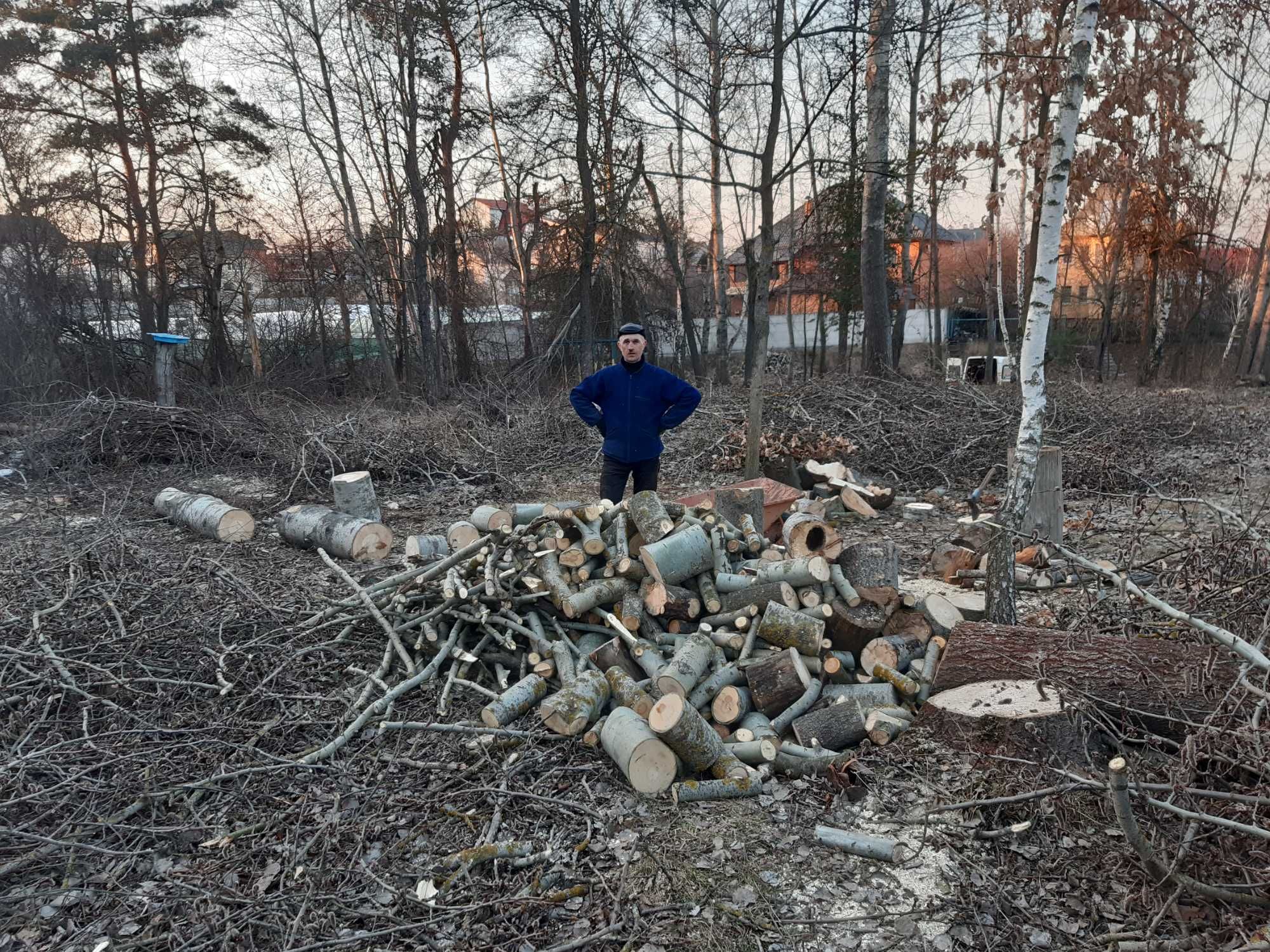 ЗРІЗКА, ПОРІЗКА ДЕРЕВ:(будь-якої складності, альпінізм)