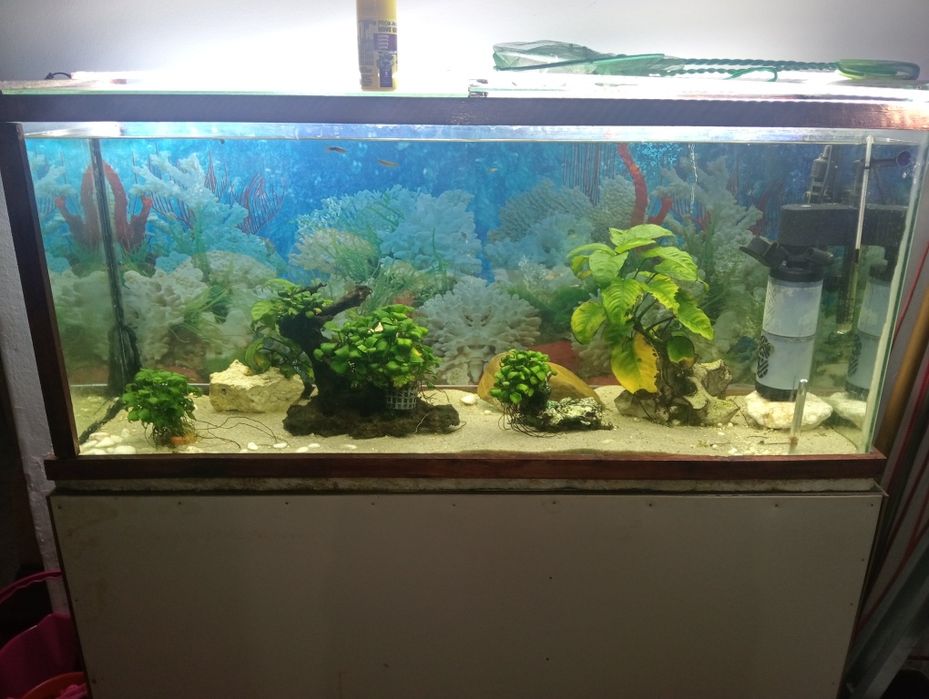 Aquário 120Litros