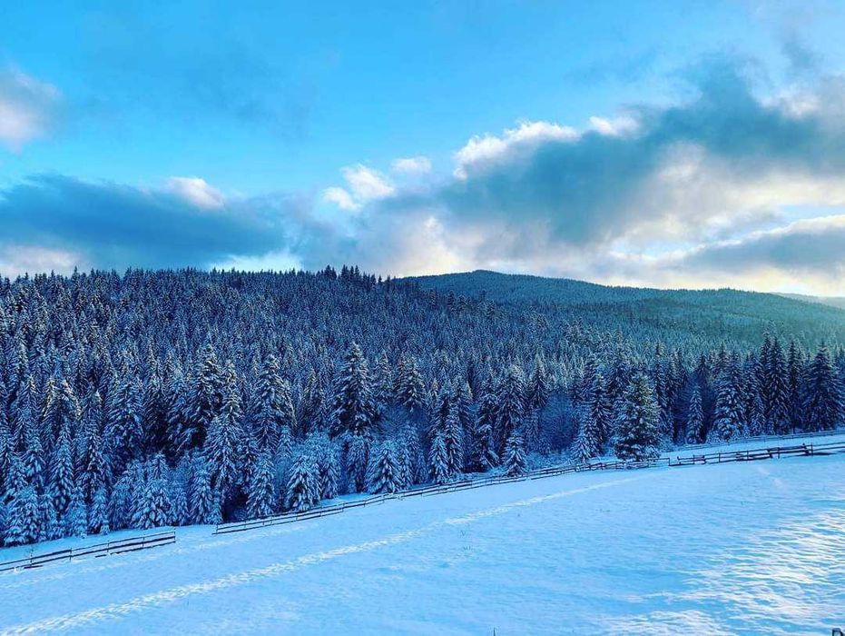 Проживания у Ворохті садиба Форесок