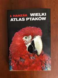 Wielki atlas ptaków