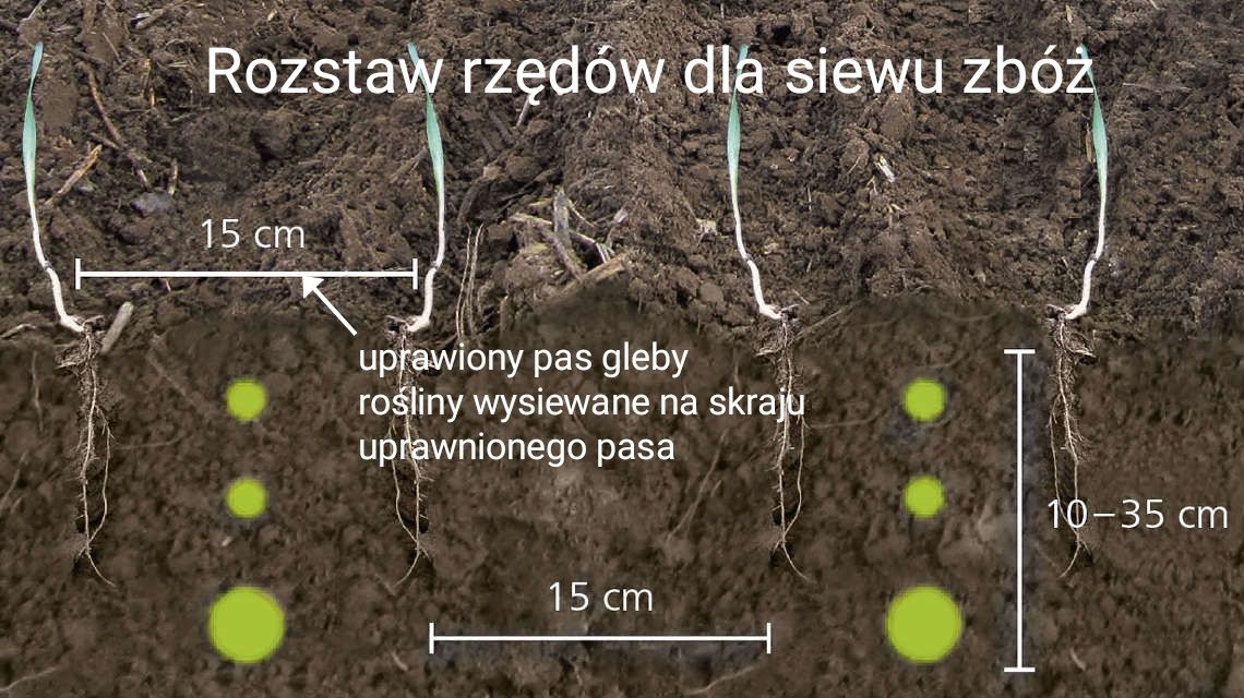 Strip Till Siew pasowy siew bezorkowy Horsch Focus