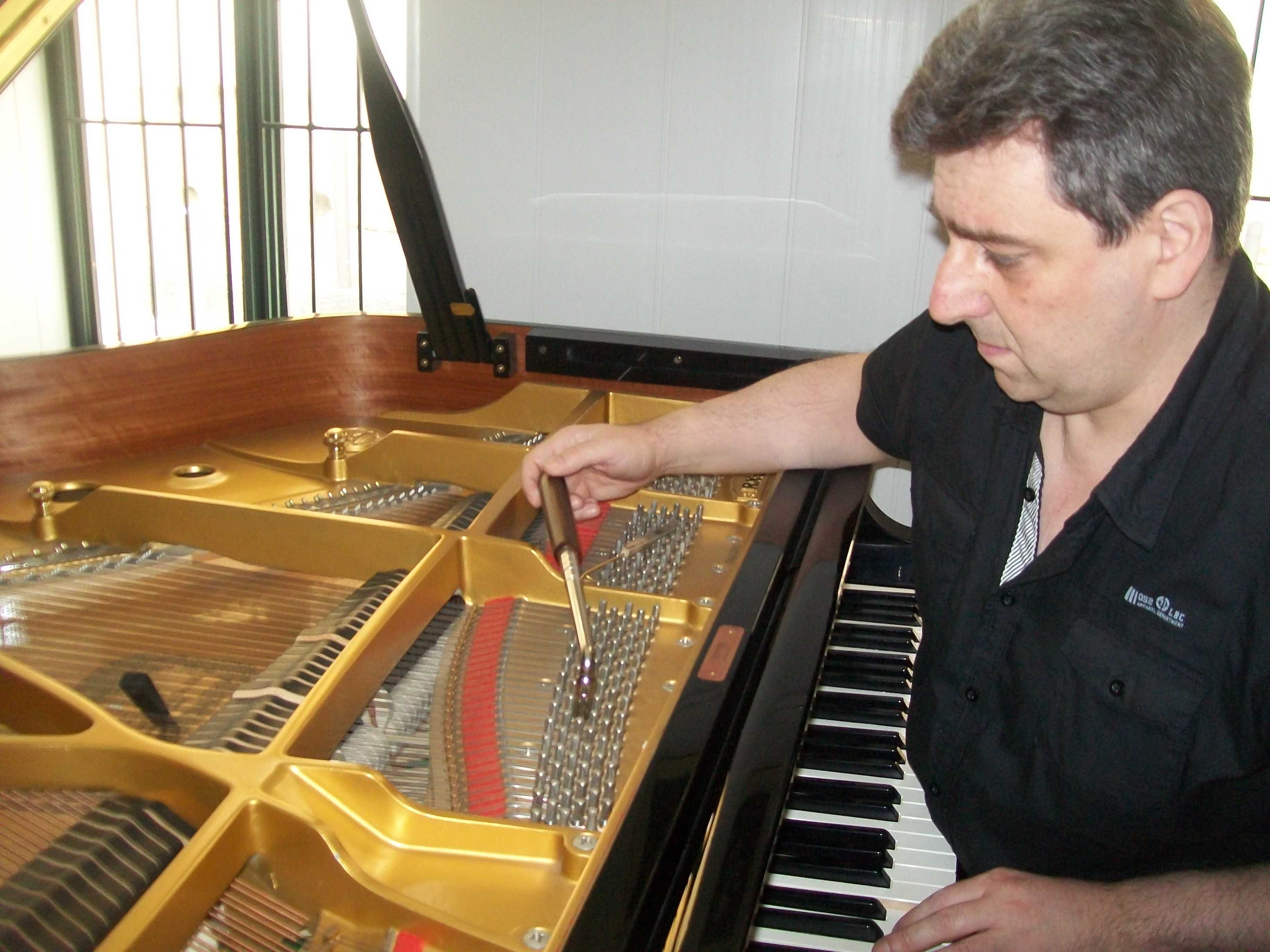 Técnico afinador de pianos.