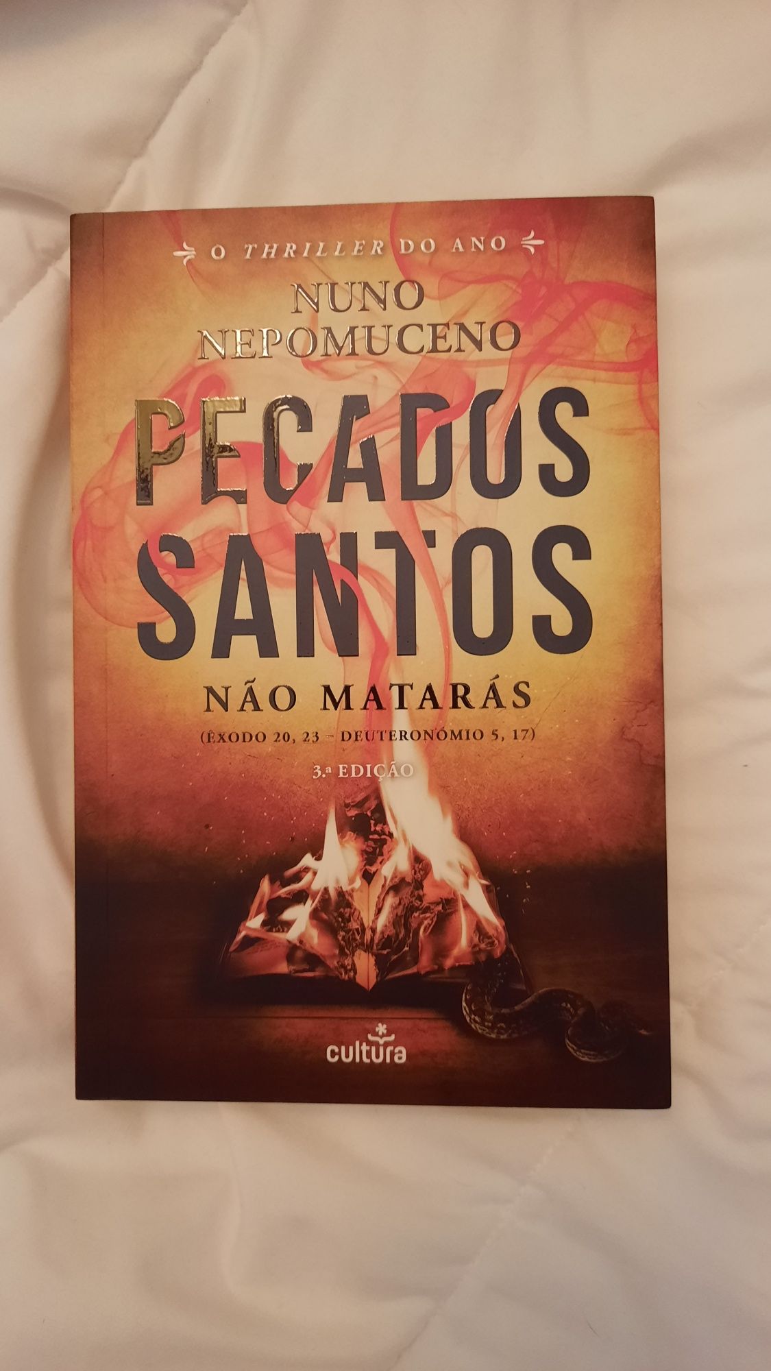 Livro Pecados Santos