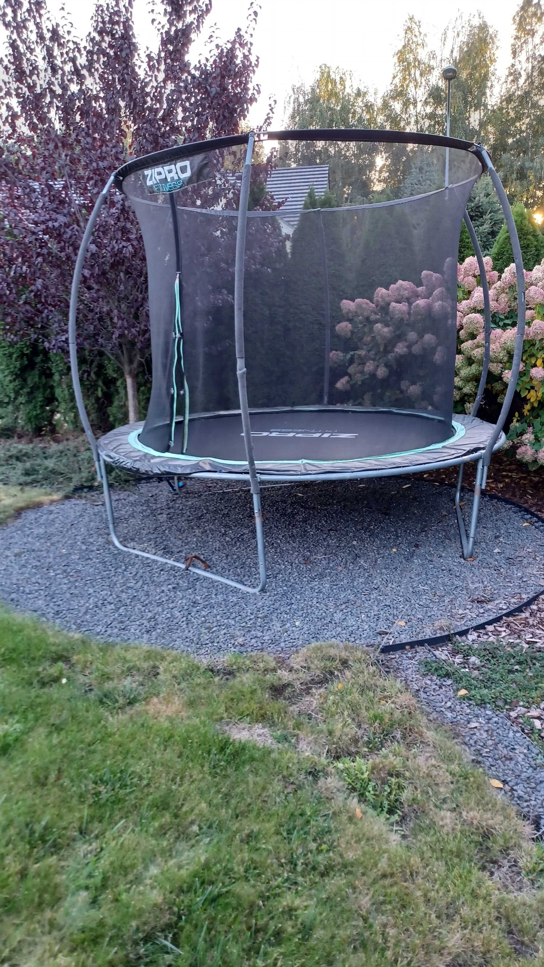 Trampolina  Zipro 3m