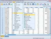 SPSS Análise Estatística de Teses, Trabalhos, Artigos, Revisão Texto