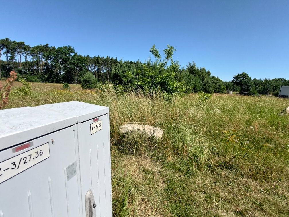 Działka budowlana na skraju lasu - Przemkowski Park Krajobrazowy