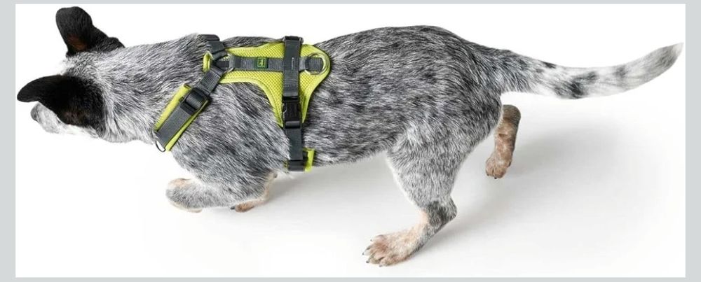 Шлейка анатомічна Hunter Maldon, Німеччина