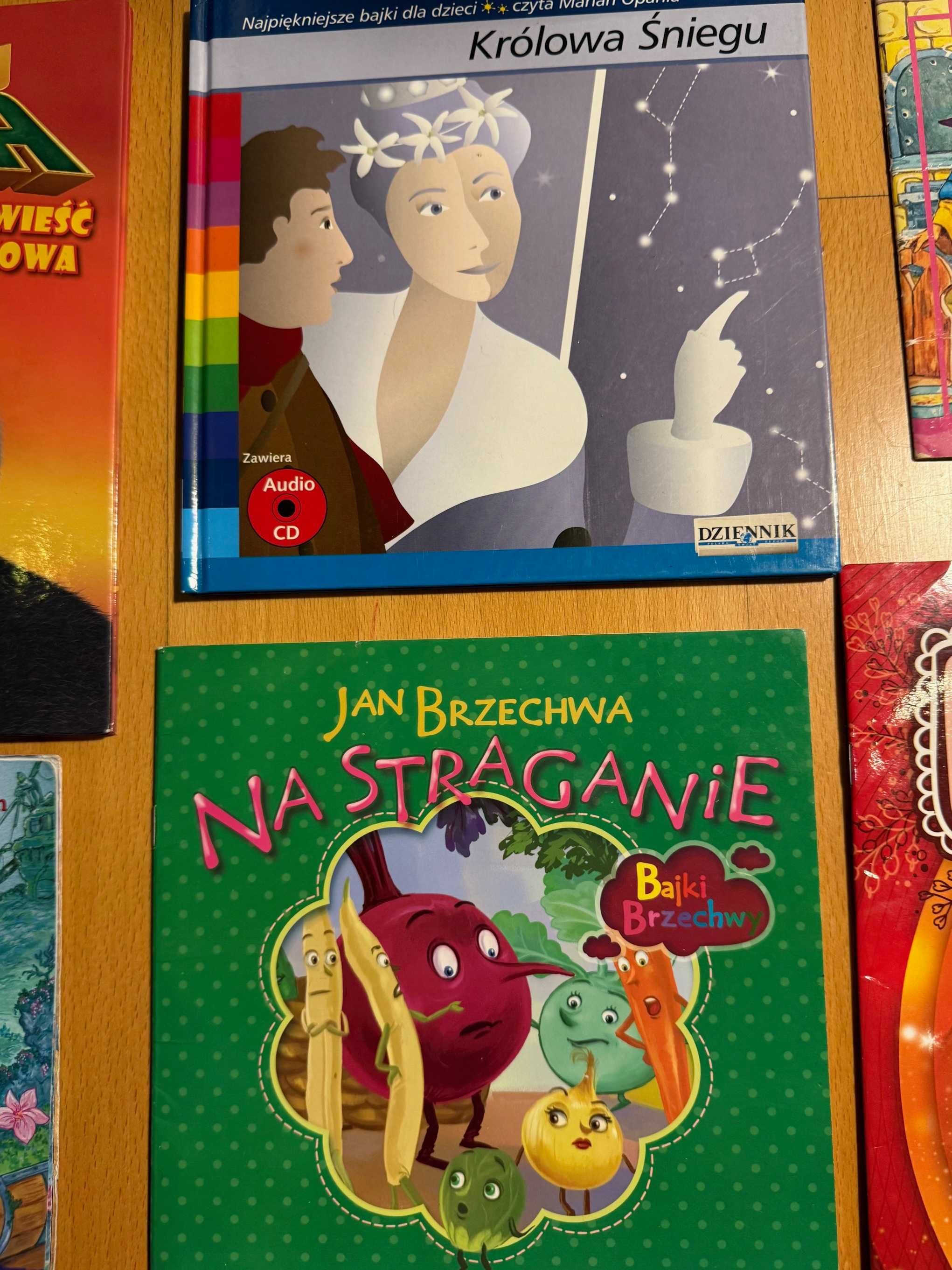 Książki dla dzieci, Królowa Śniegu, Kung Fu Panda, Kot w butach,9 szt.