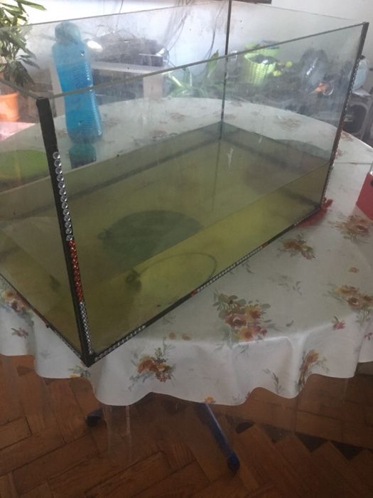 Aquário em vidro para peixes