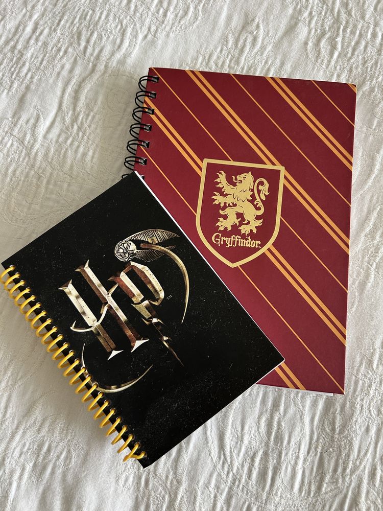 Cadernos Harry potter