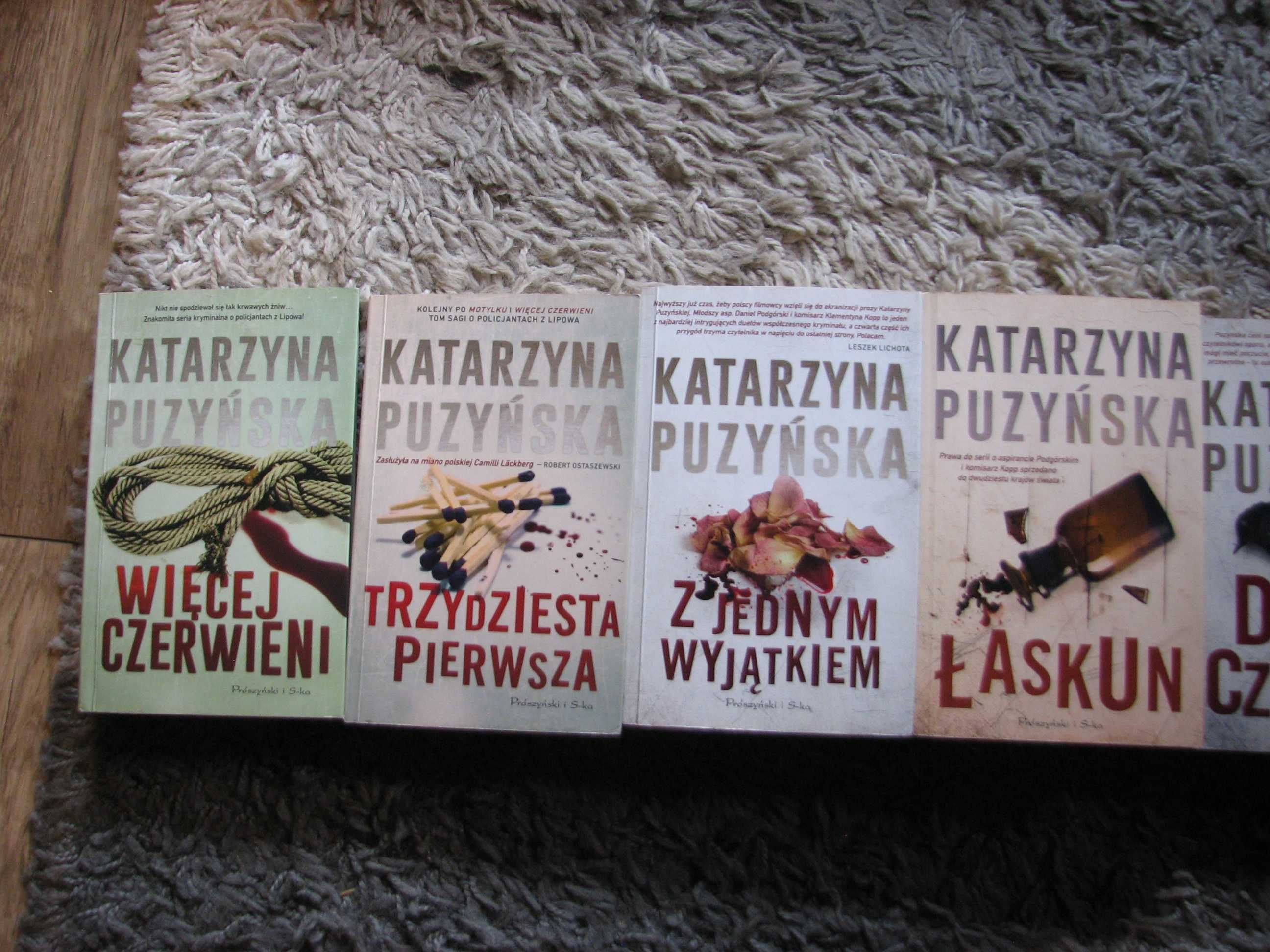 Katarzyna Puzyńska saga "Lipowo"