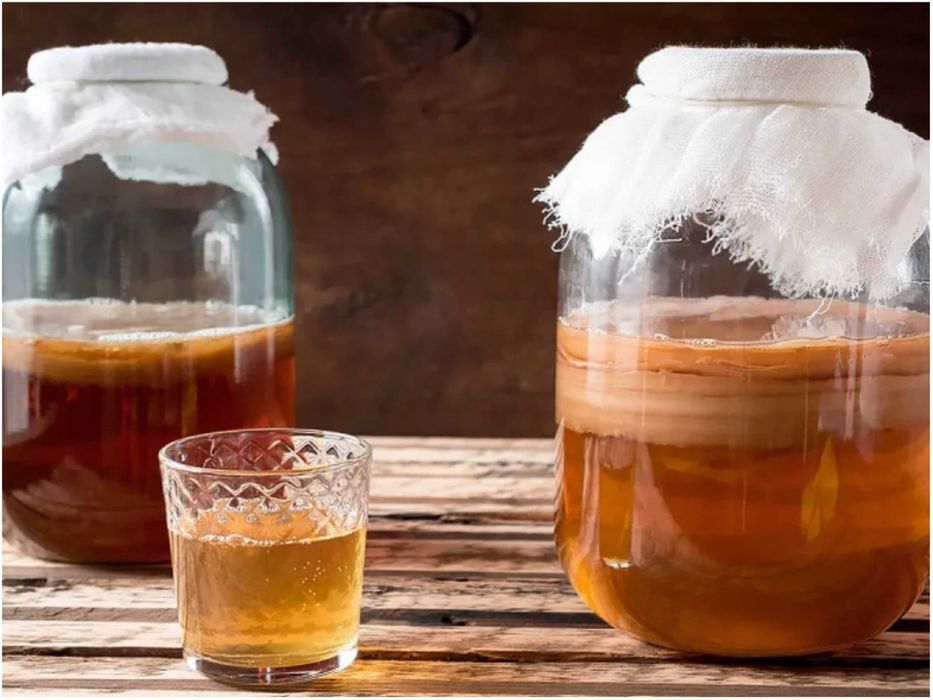 Чайный гриб разной толщины на 3-литровую банку