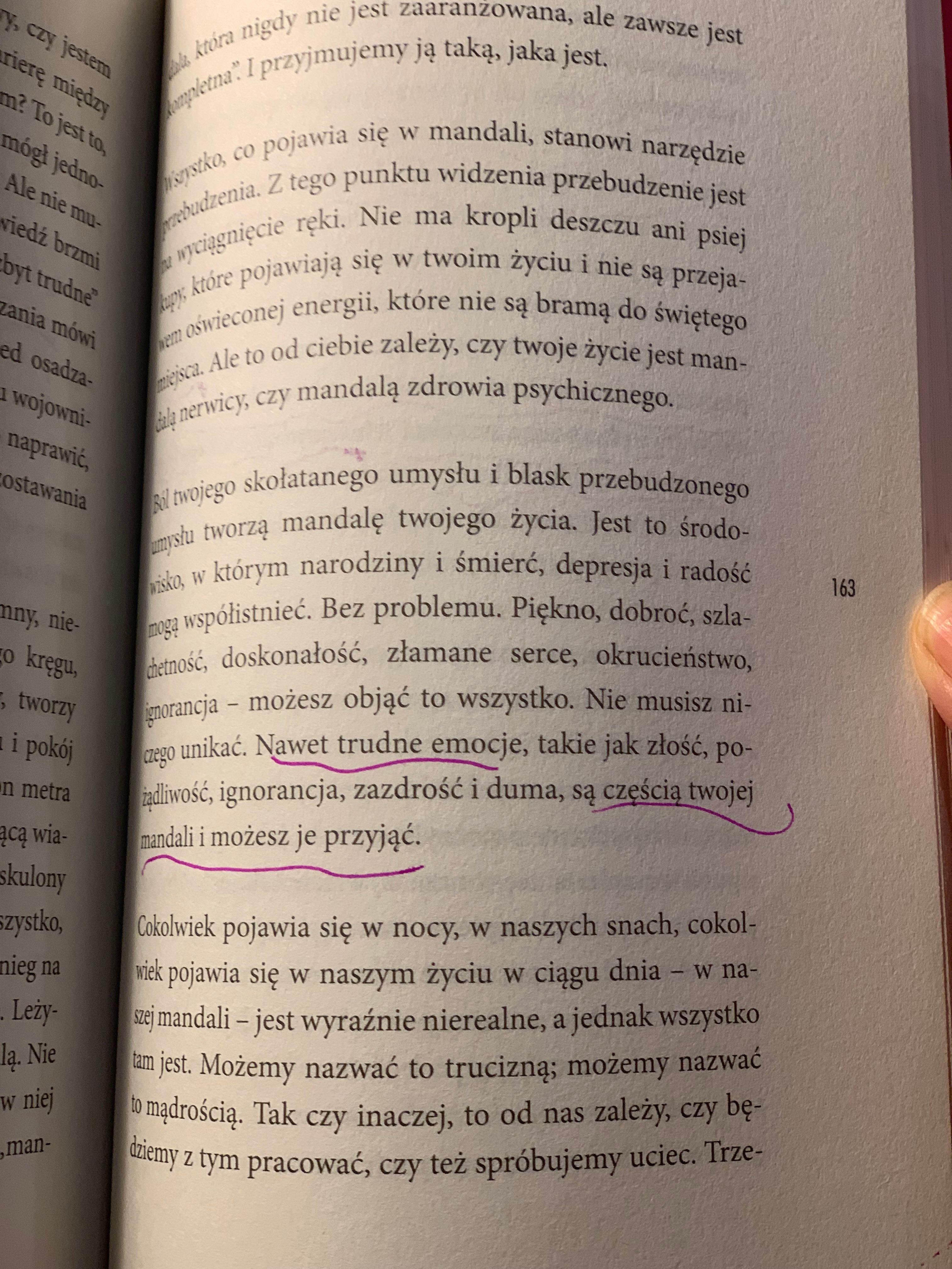 Żyj pięknie Pema Chodron