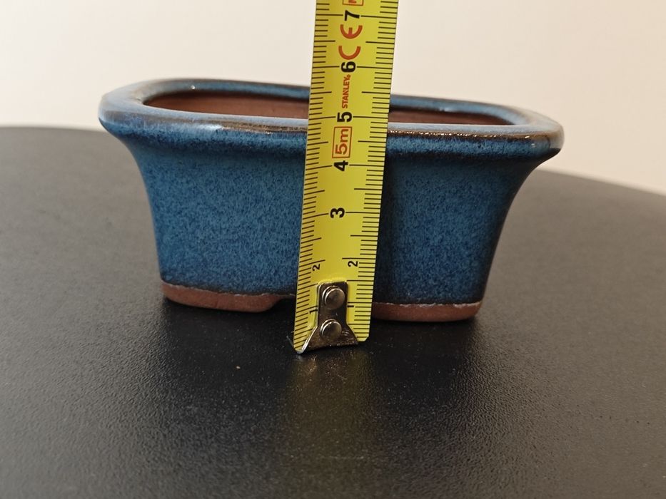 Vaso para bonsai azul