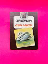 Cadernos de Campo: Cisnes e Gansos - 48